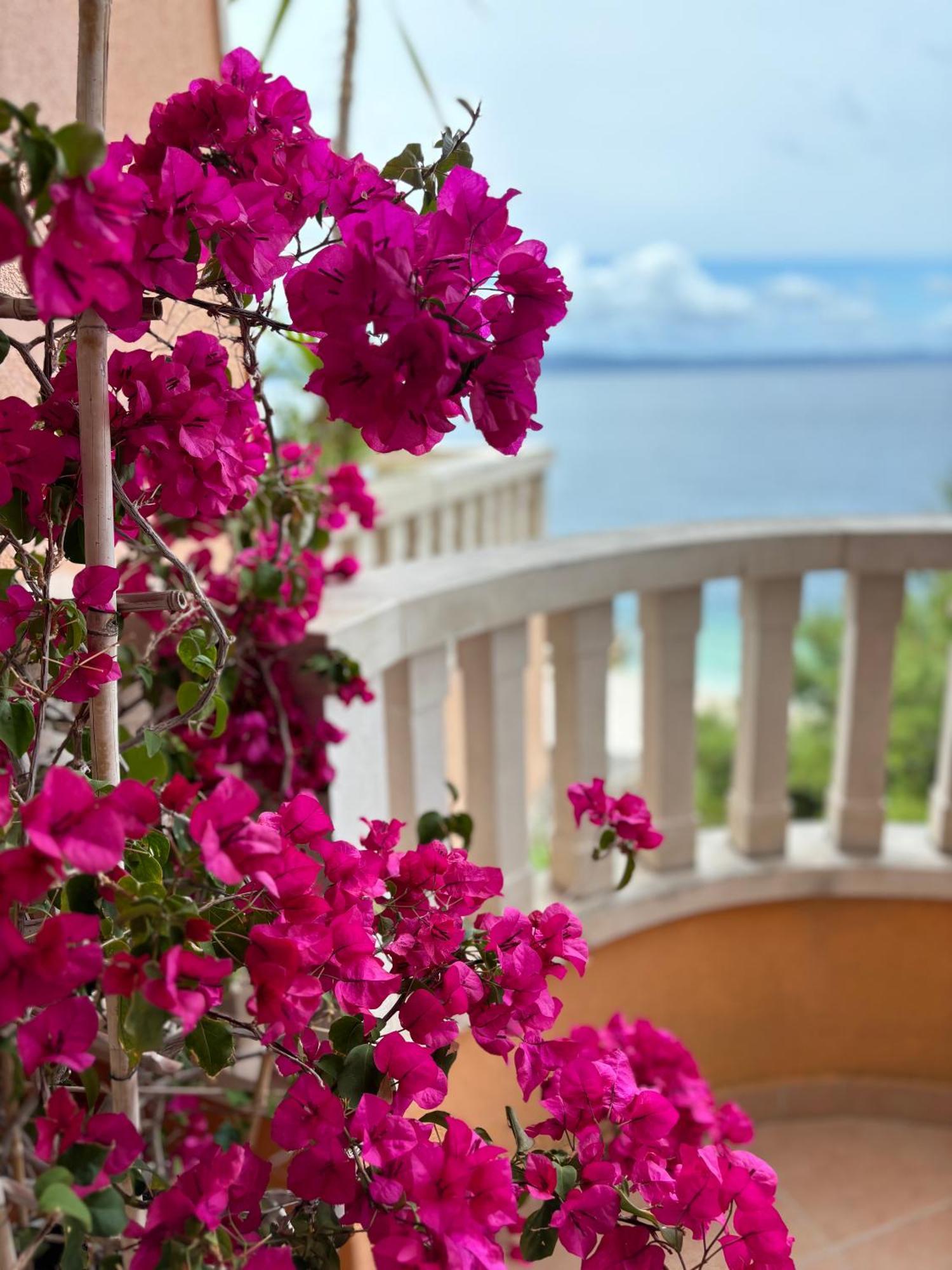Villa Spomenka Podgora Dış mekan fotoğraf